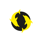 logo-yellow-dolphins